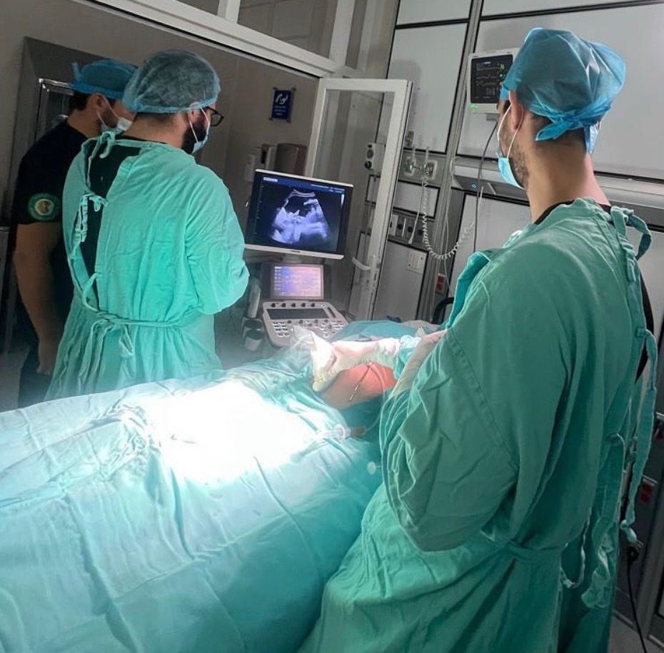 Isis Alejandro Velázquez Ramirez-0