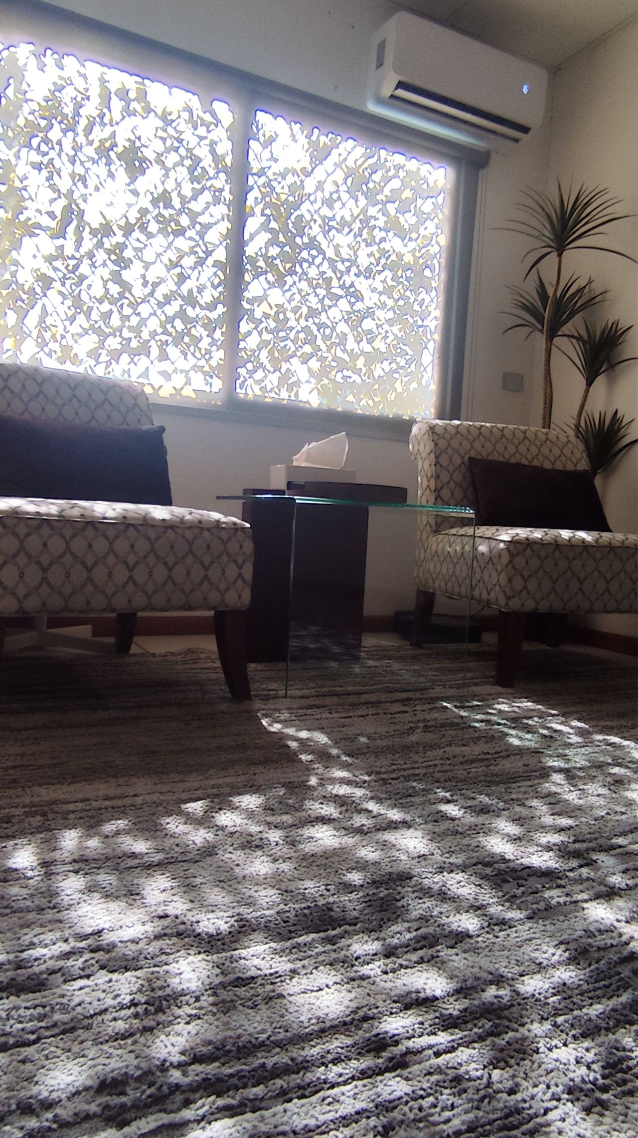 Mariana Cornelio Damián-3