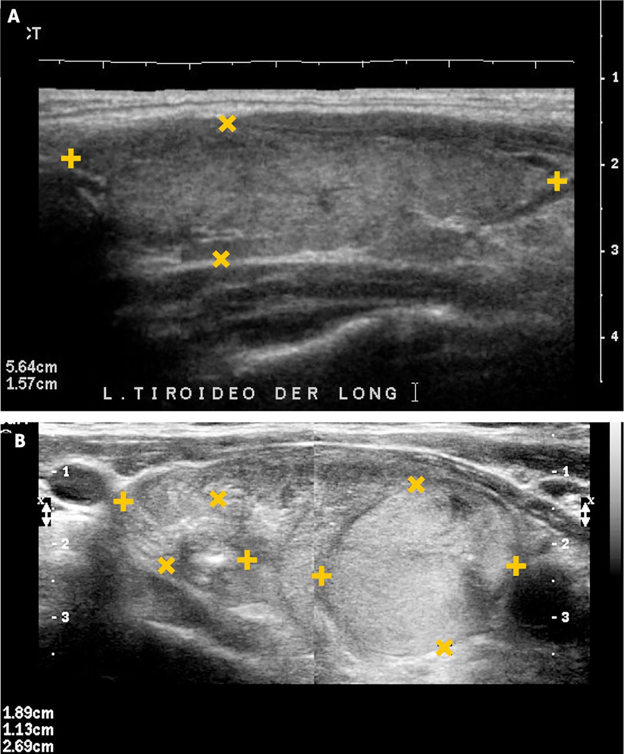 Dalys María Imeno López-7
