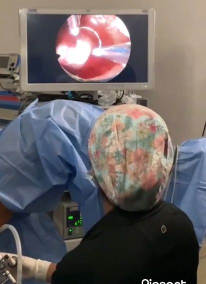 Diana Villeda Barrera-4