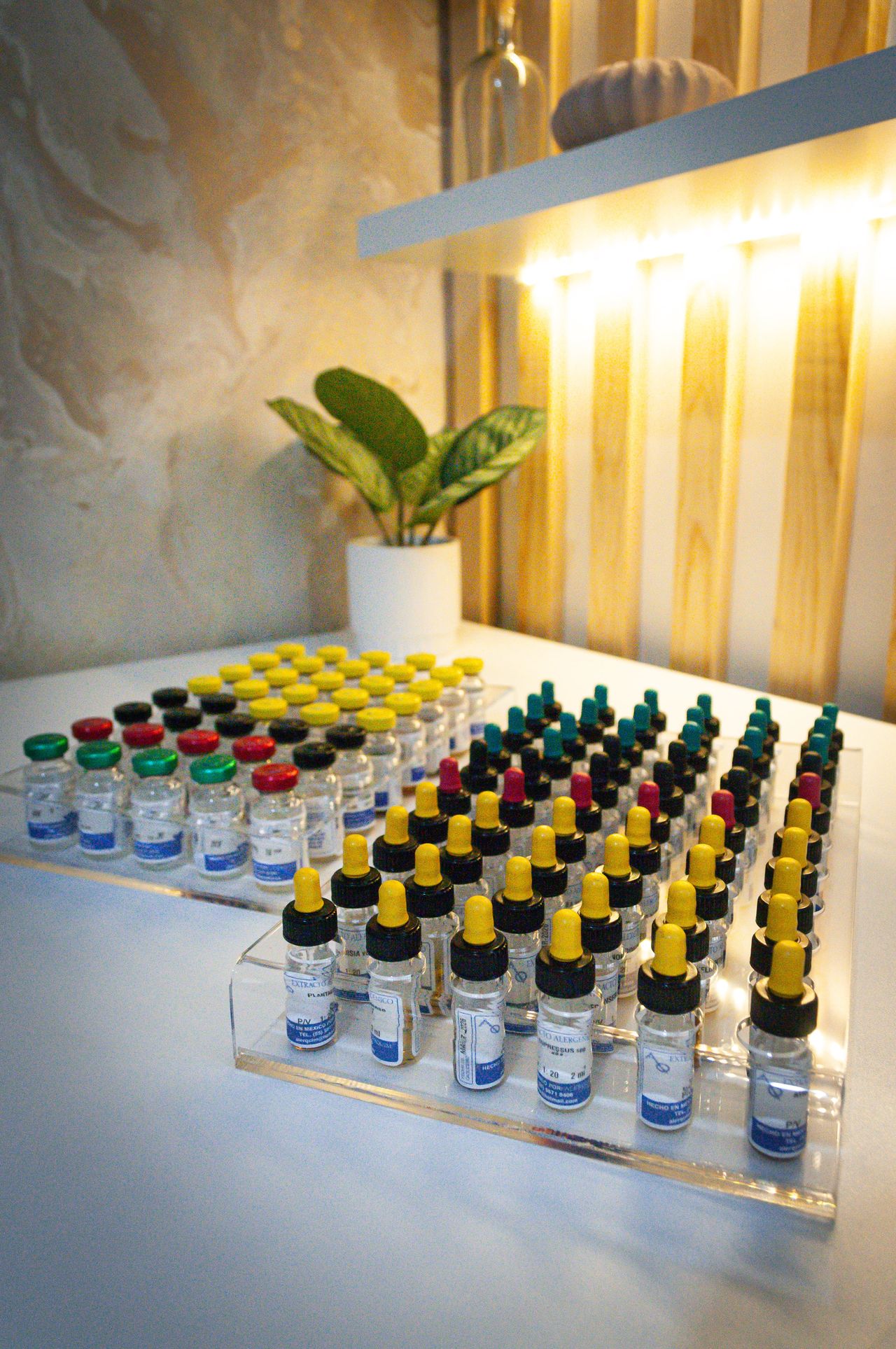 Tania González Mendoza-1