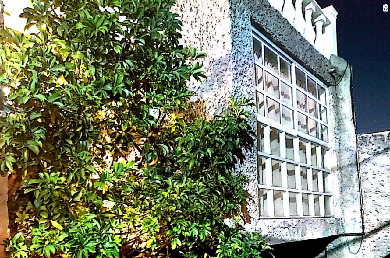 Lilliana Puente Flores-4