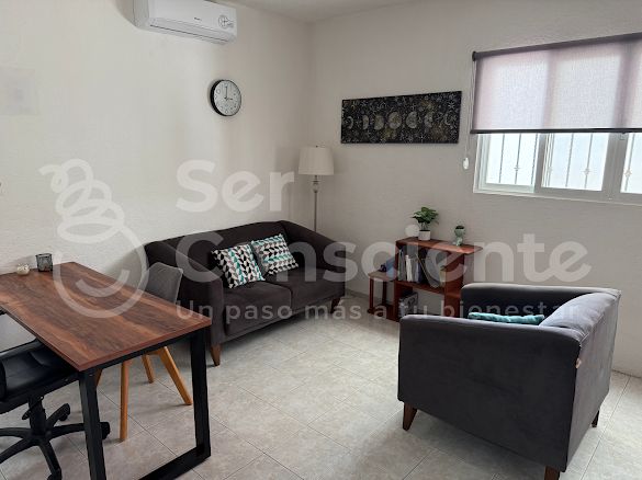 Paulina Pichardo Urrutia-1