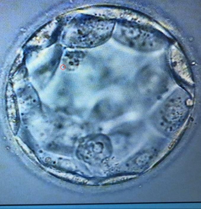 Germán Gabriel Palacios López-34