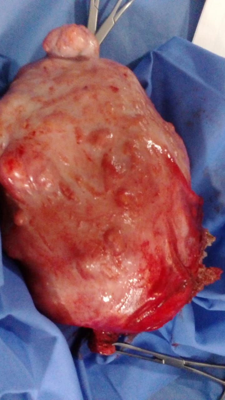 Nayeli Martínez Jaime-25