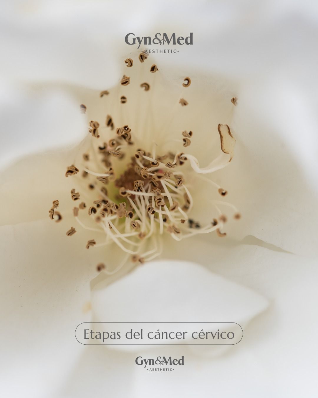 Alejandro Morales-12