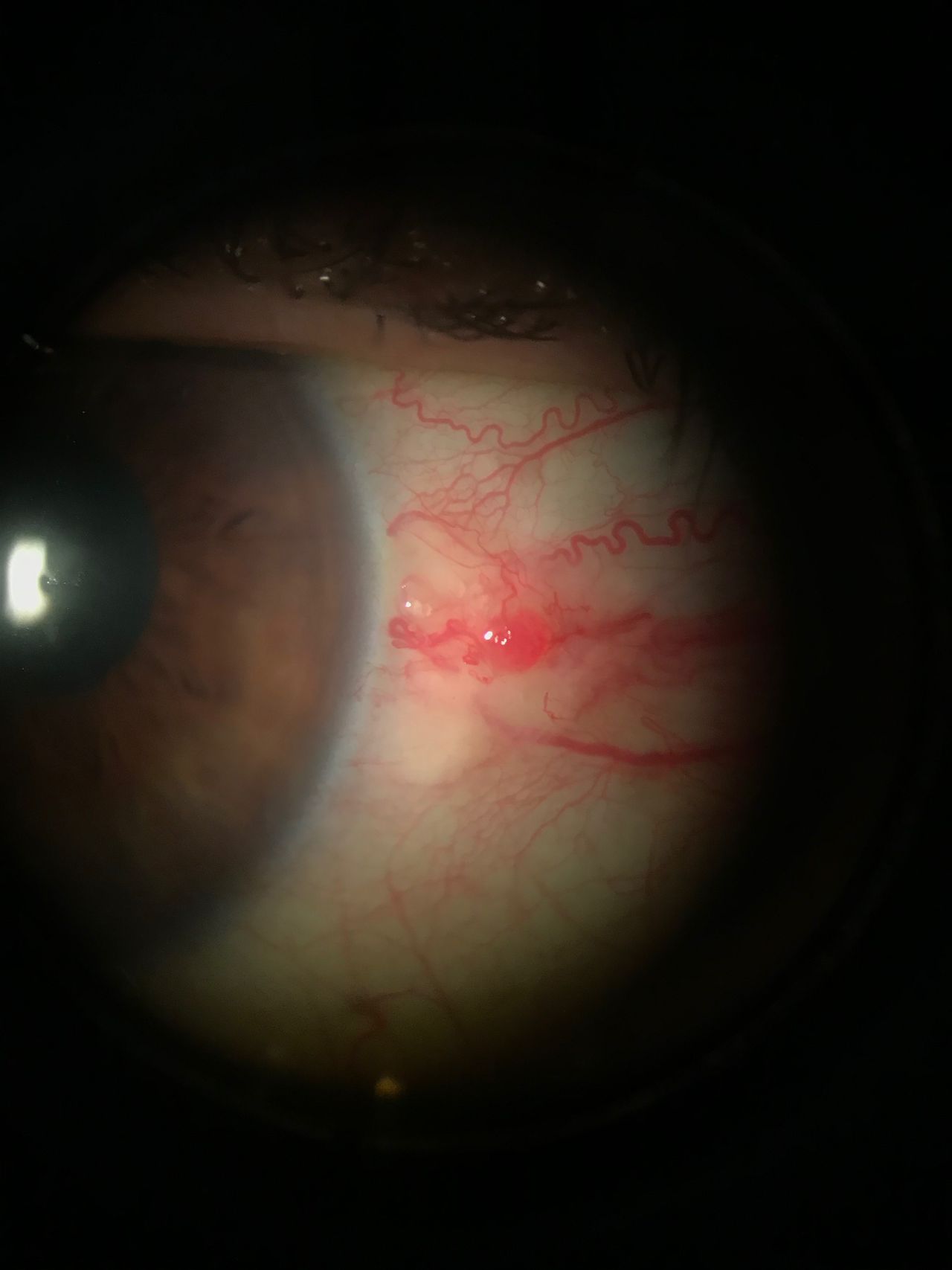 Karla Mariana Pantoja Gutierrez-4