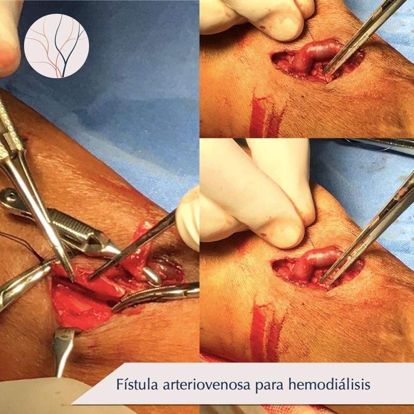 Erika Berenice Ramírez Pérez-5