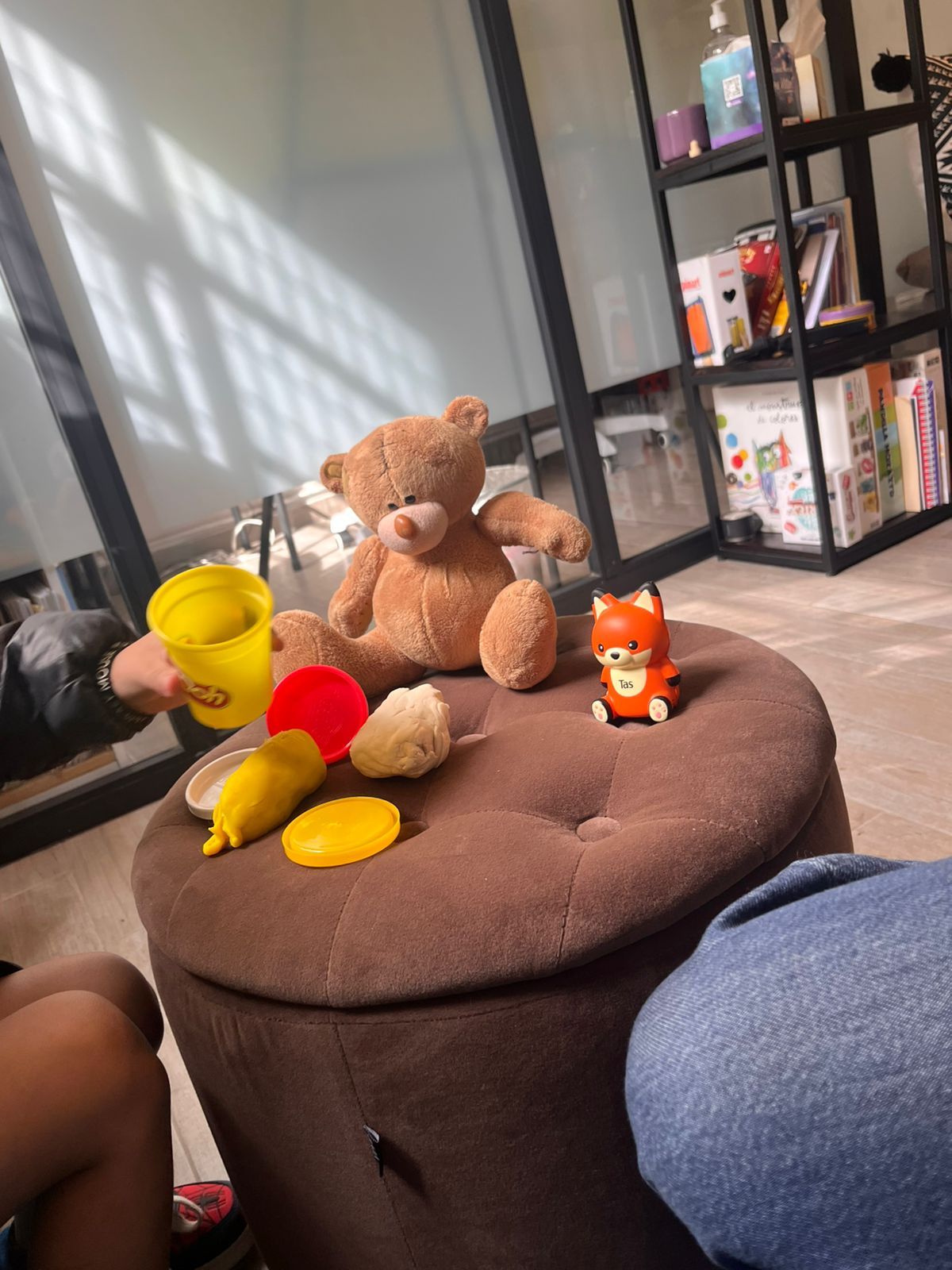 Denisse Viridiana Aceves Sánchez-2