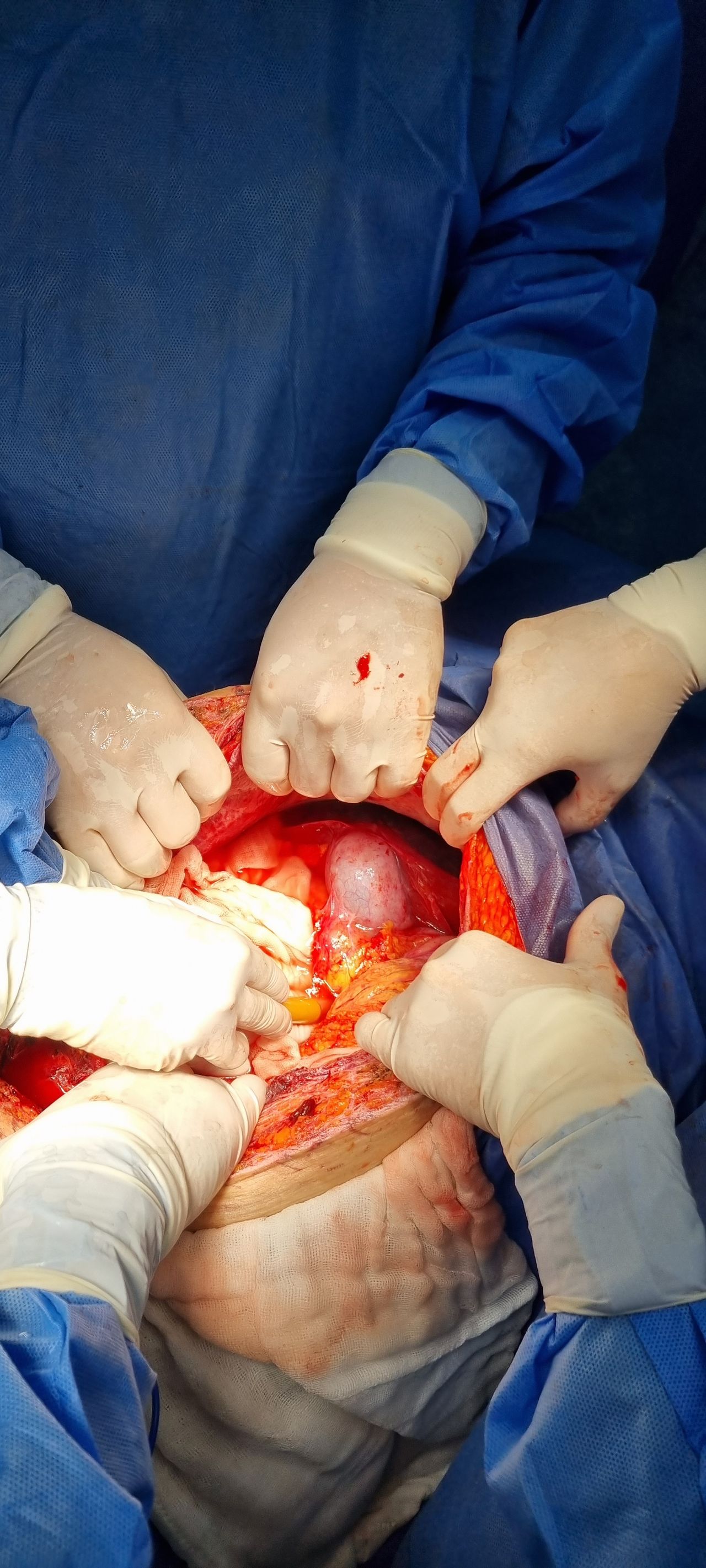 Martha Ivette Mejia Chavez-13