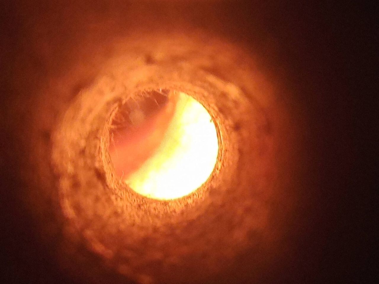 Miguel Angel Valdez Arroyo-3