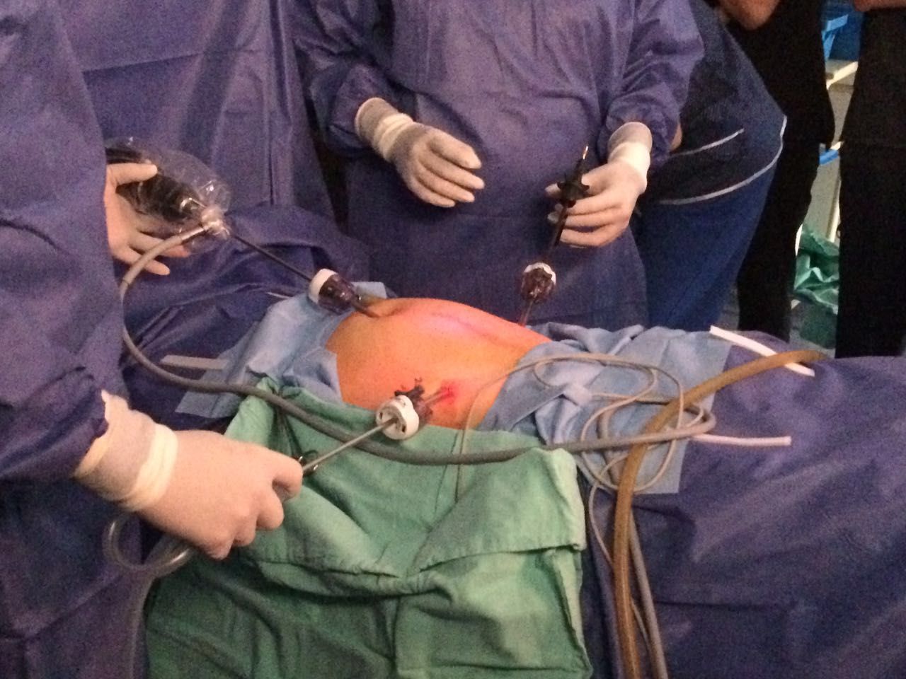 Liliana Morales Domínguez-5