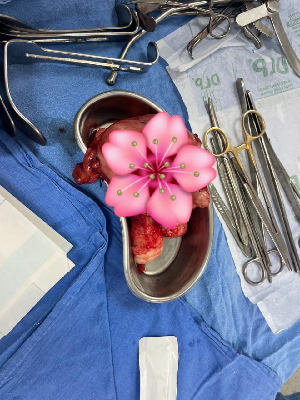 Margarita  Hernández Guzmán -5