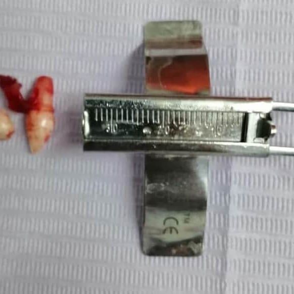 Luis Fernando Galicia Chacón-17