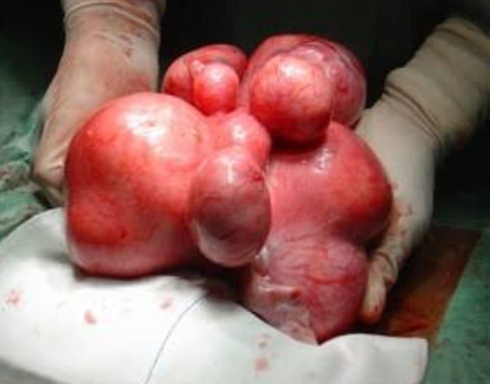 César Alejandro Rodríguez Benitez-13