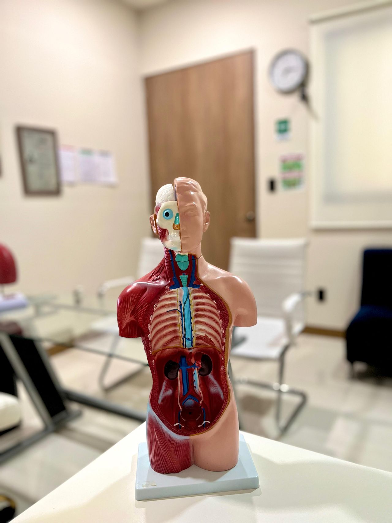 Maricruz Jasso Rangel-4