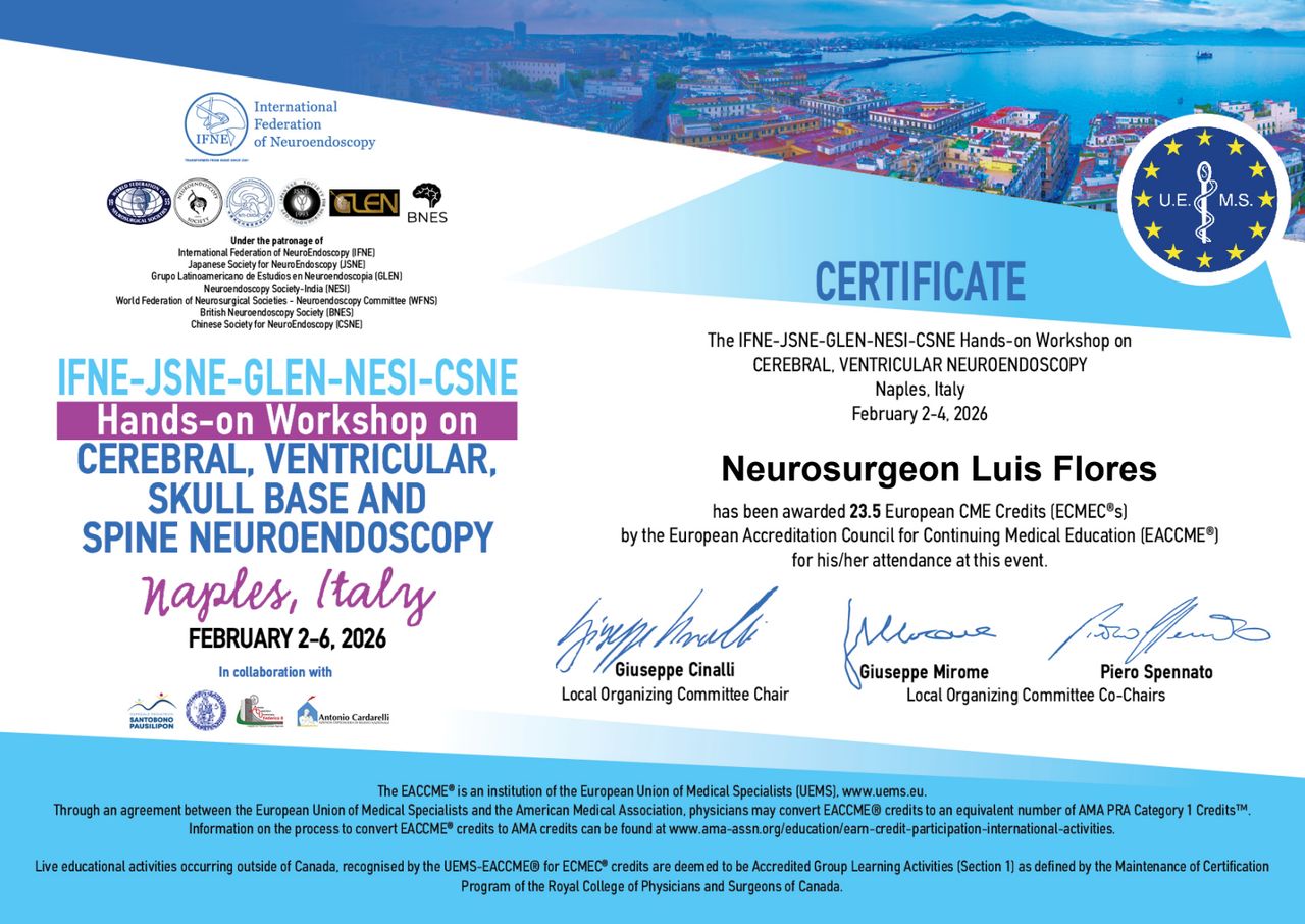 Luis Enrique Flores Huerta-5