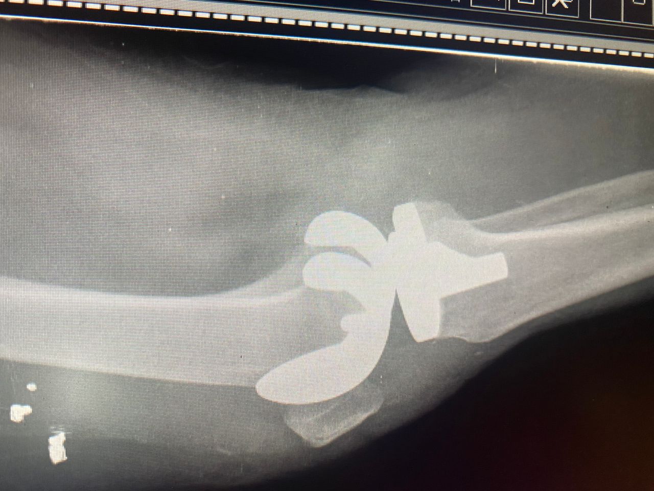 Francisco Sandoval Pérez-14