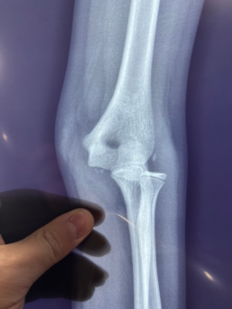 Ricardo Paz Castellanos-3