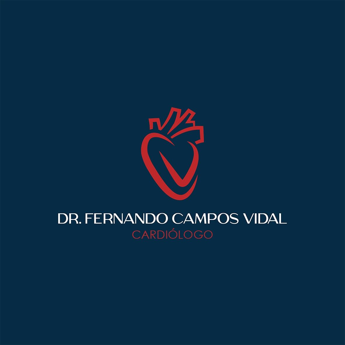 Fernando Campos Vidal-5