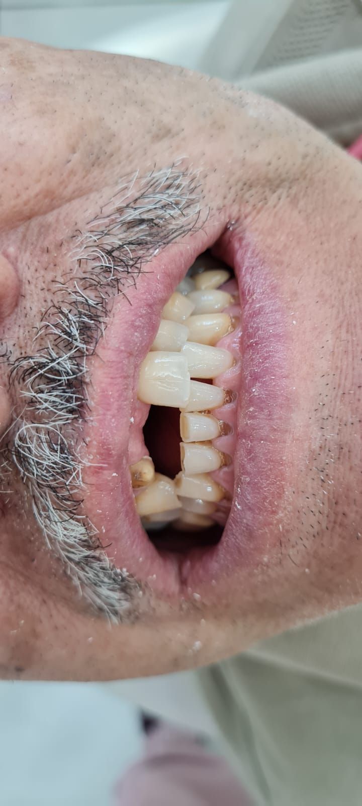 Andrea Cervantes Urenda-20