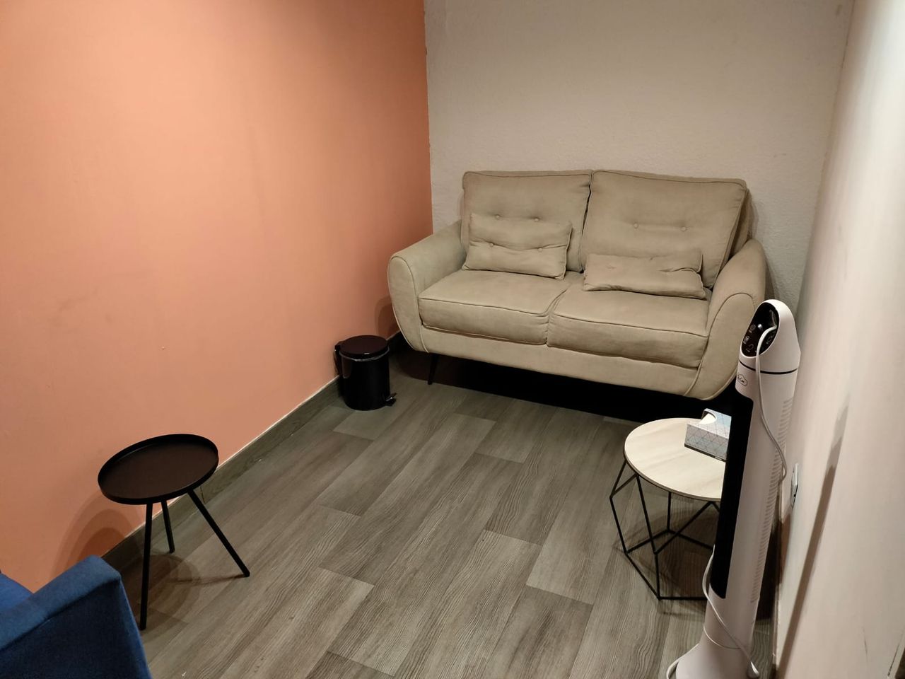 Diana Laura Gómez Ramos-3