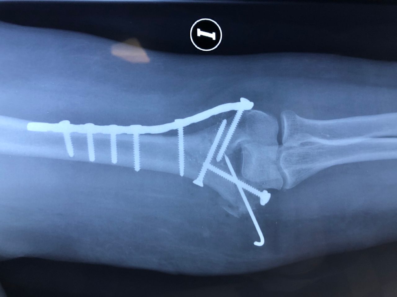 Alejandro Bayo Del Castillo-12