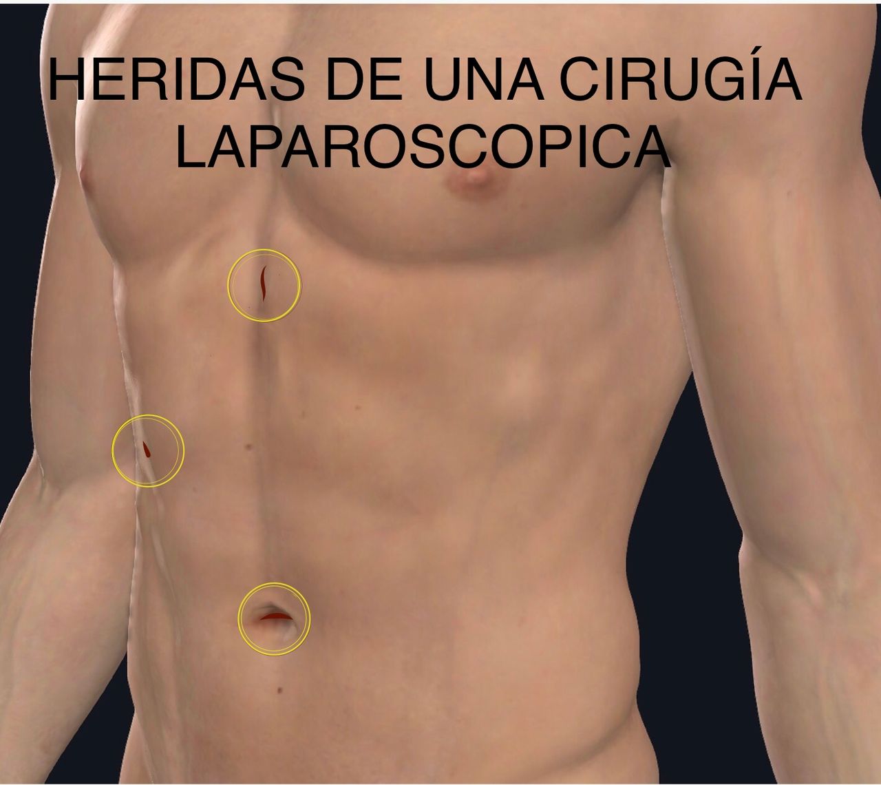 Mateo Ponciano Guerrero-38