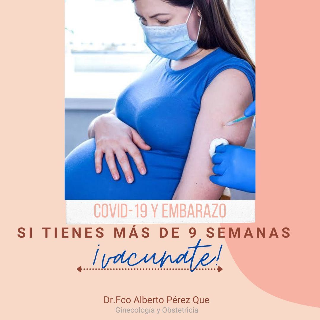 Francisco Alberto Perez Que-4