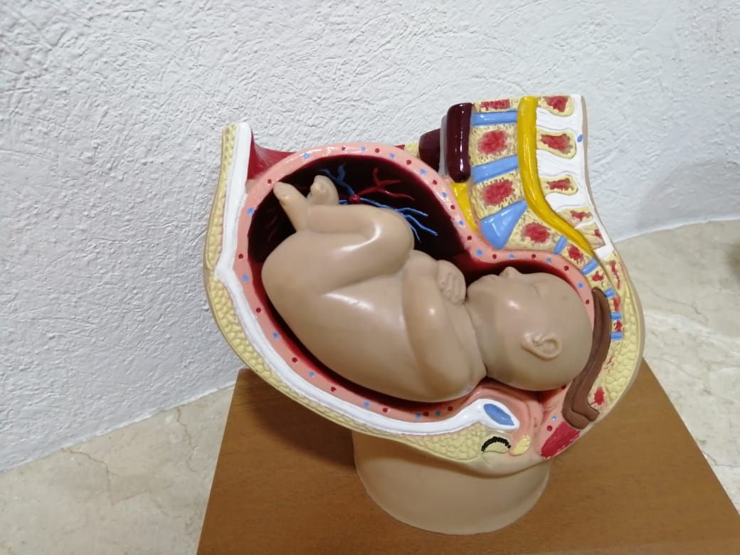 Adriana Patricia Alcaraz Muñuzuri-7