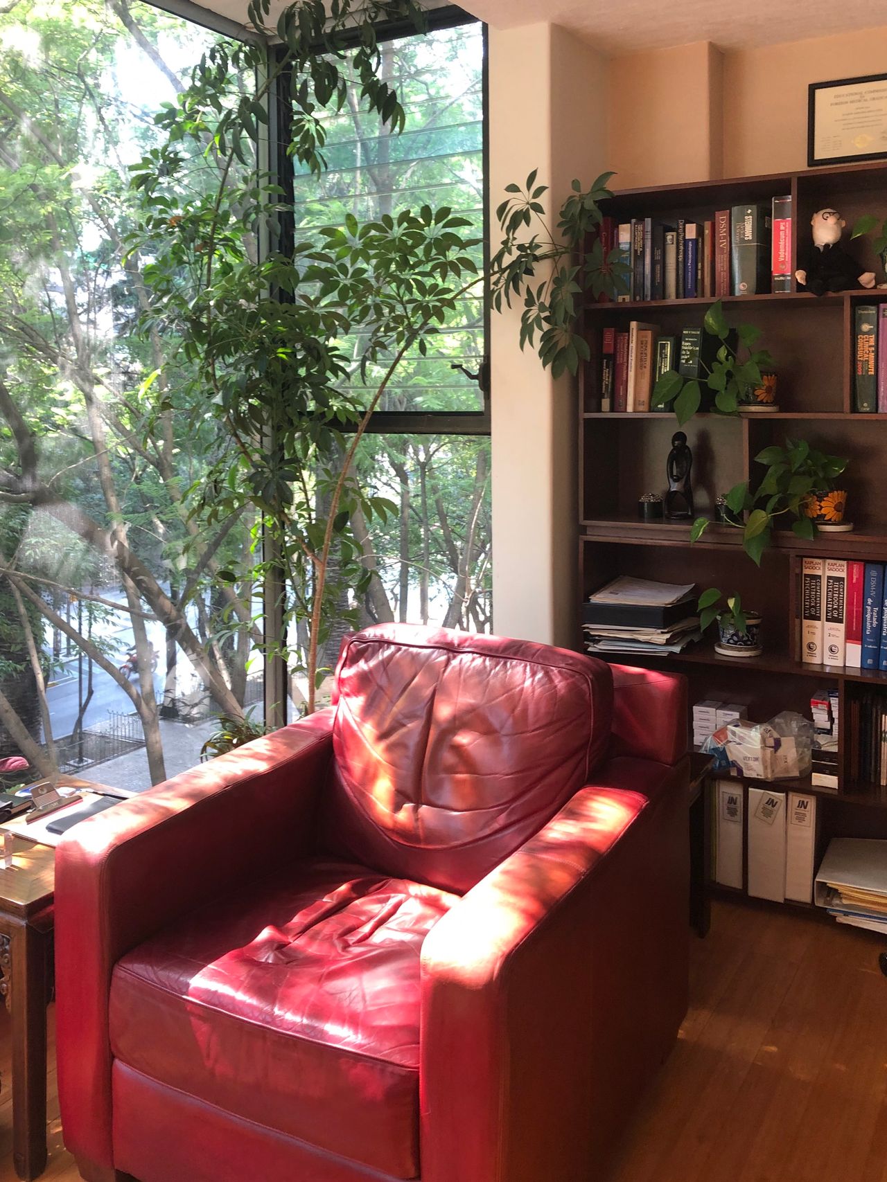 Joaquin Baranda Sepulveda-2