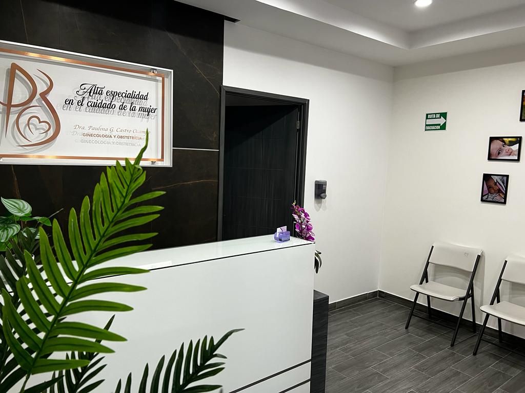 Paulina Giovanna Castro Ocampo-5