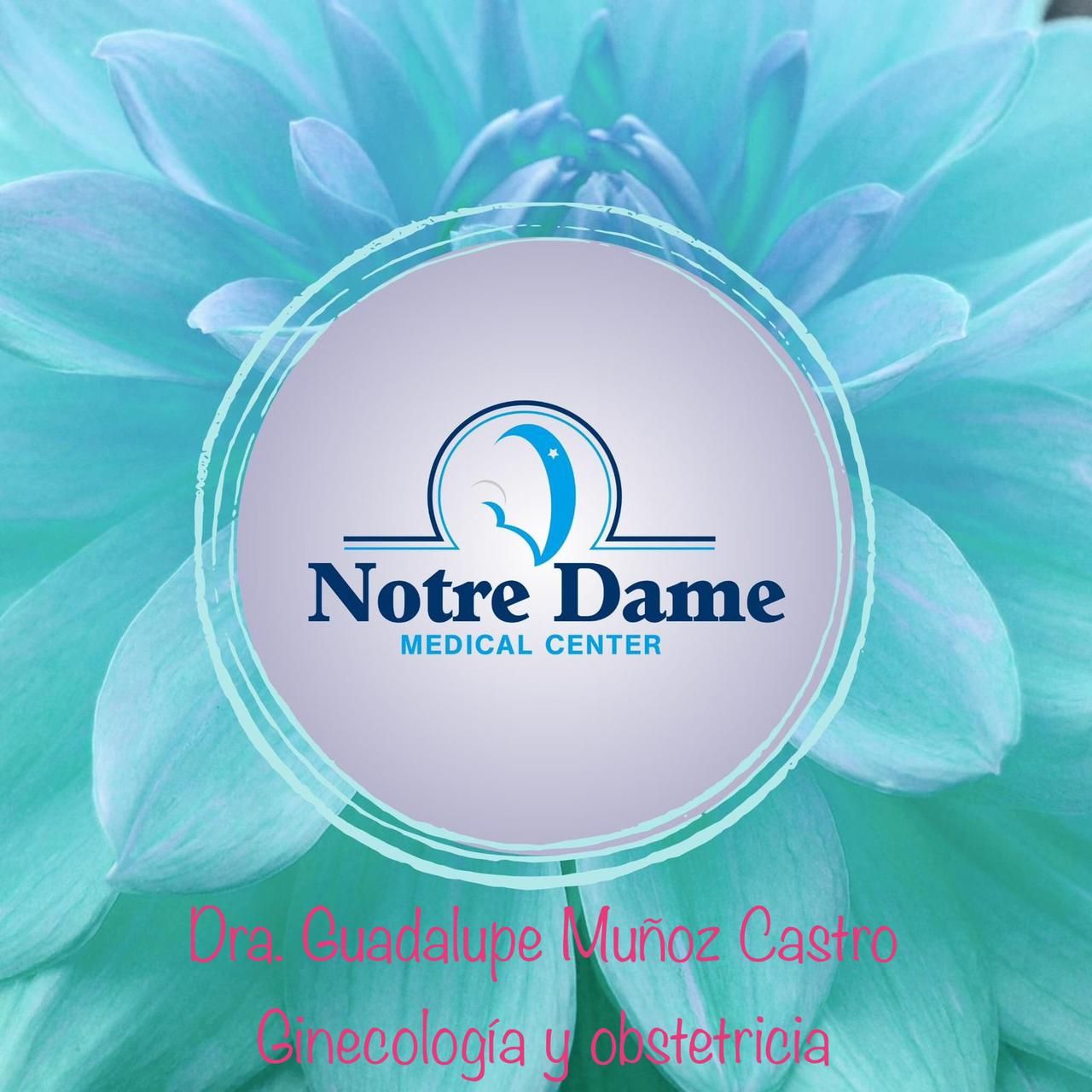 Guadalupe Muñoz Castro-14