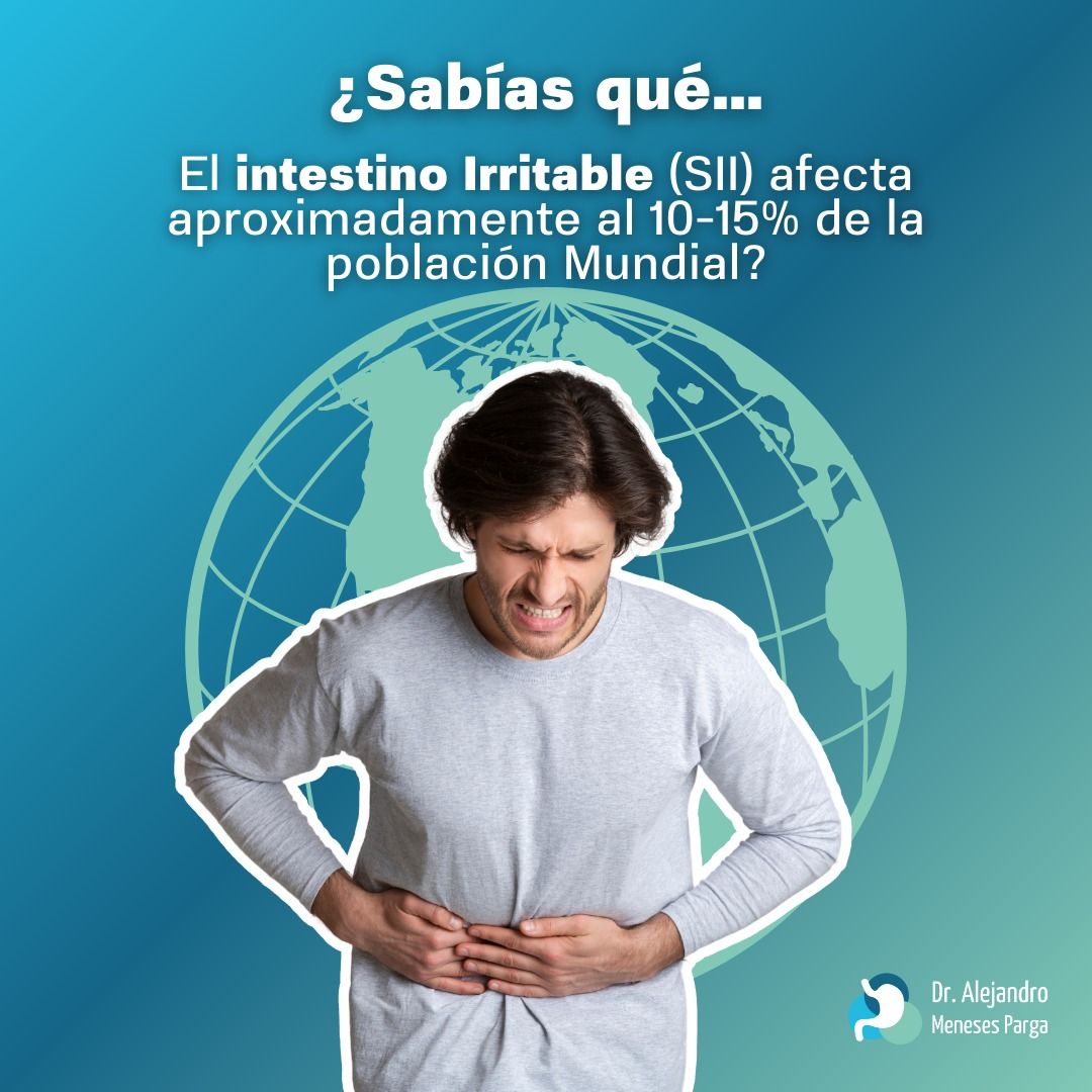 Alejandro Meneses Parga-5