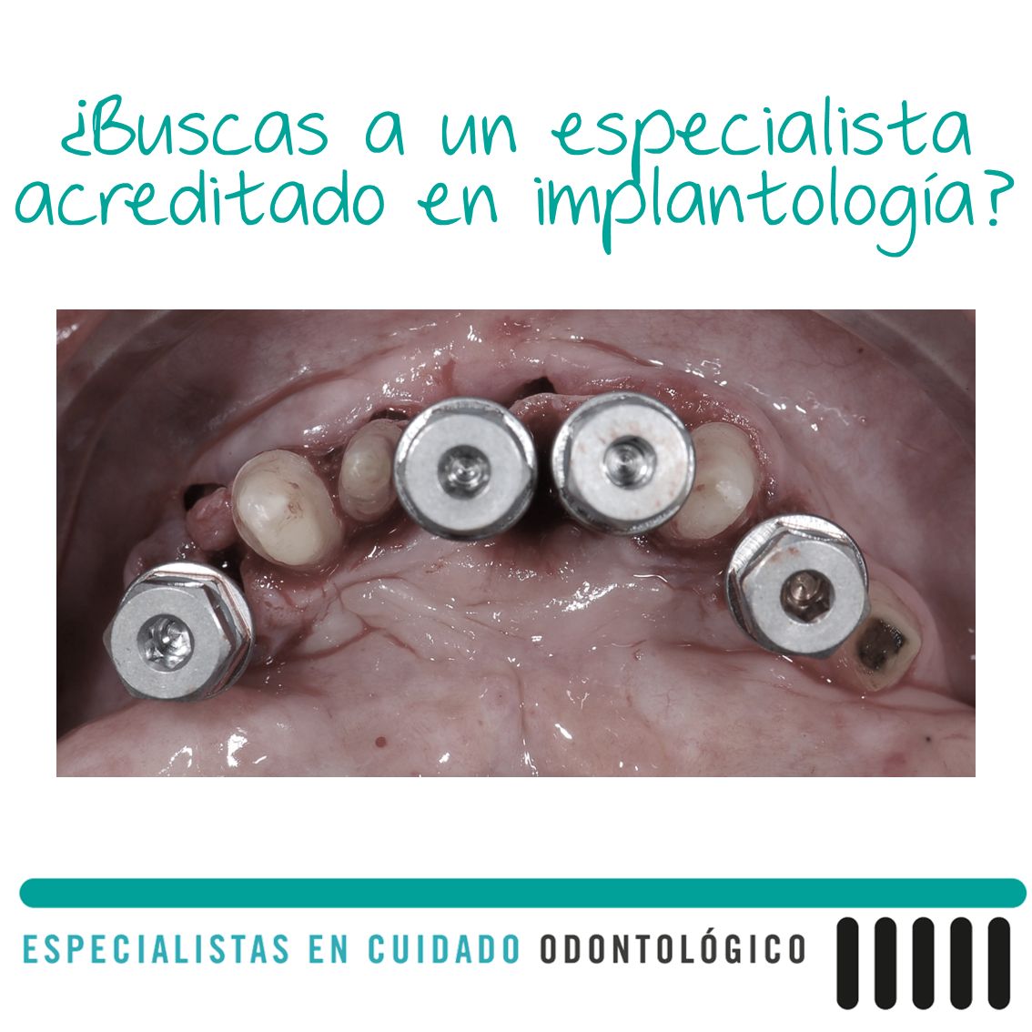 Patricia Porras Domínguez-23