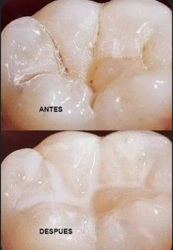 Melina Belmont Aguilar-1