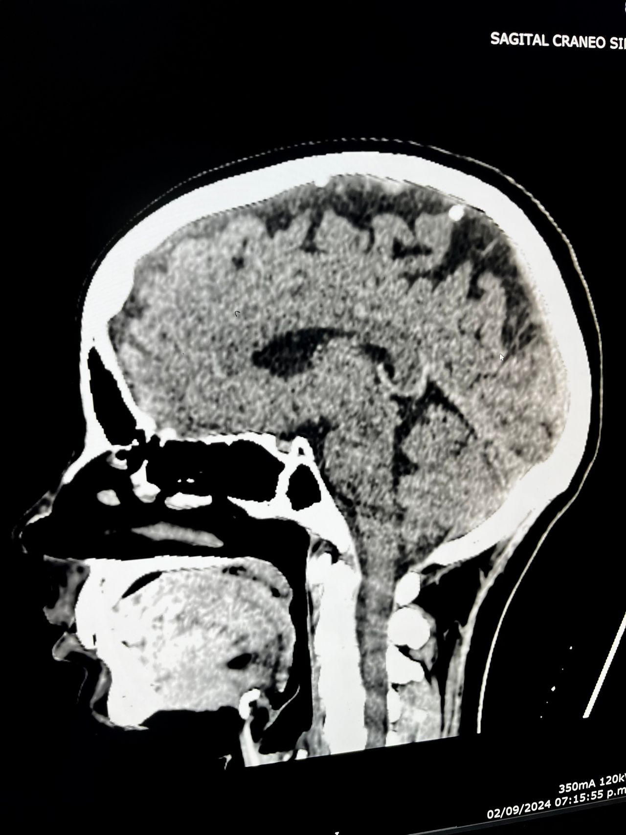 Rogelio Hernández García-47