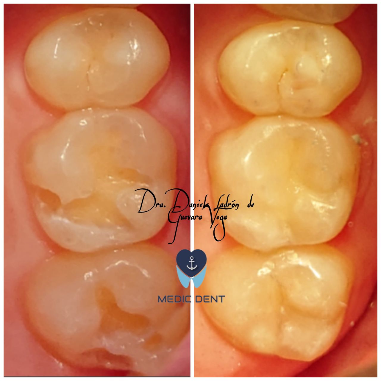 Daniela Ladrón De Guevara Vega-19