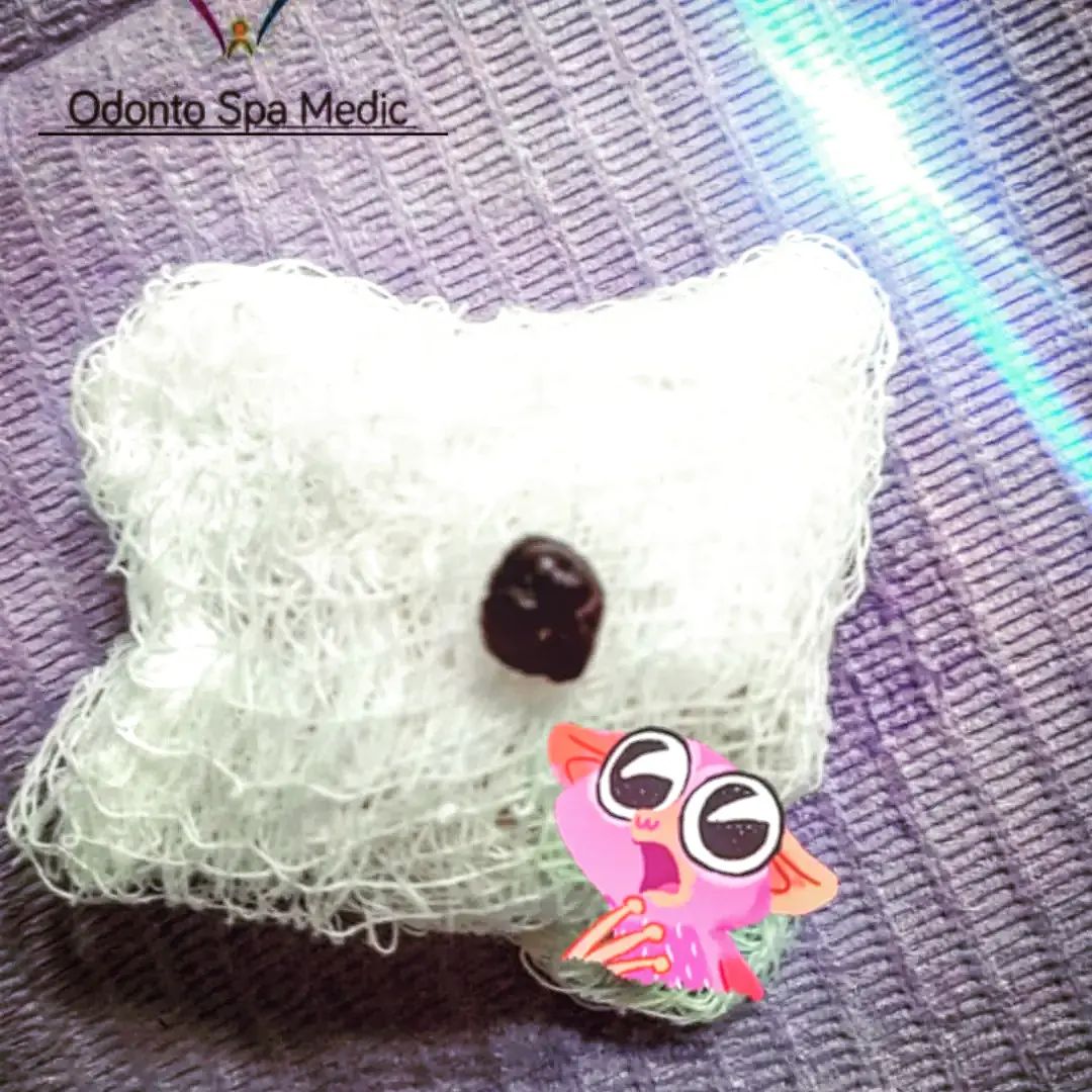 Fabiola Arcos Huesca-21