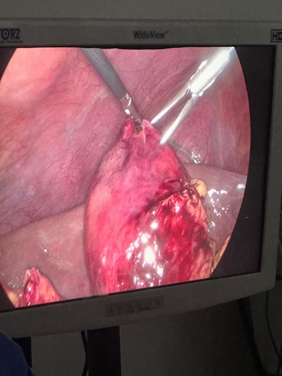 Romeo Guillen Constantino-6