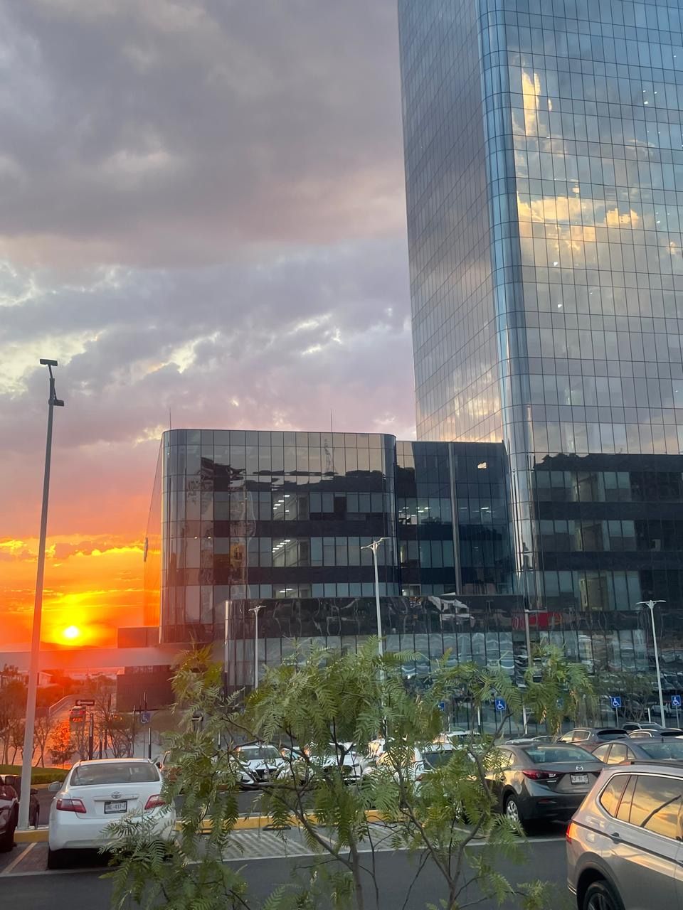 Denisse Paola García Ortega-8