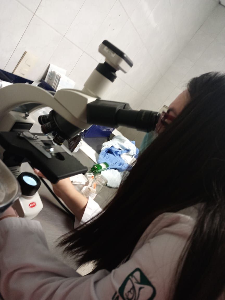 Yoselyn Argelia Ramos De La Cruz-0