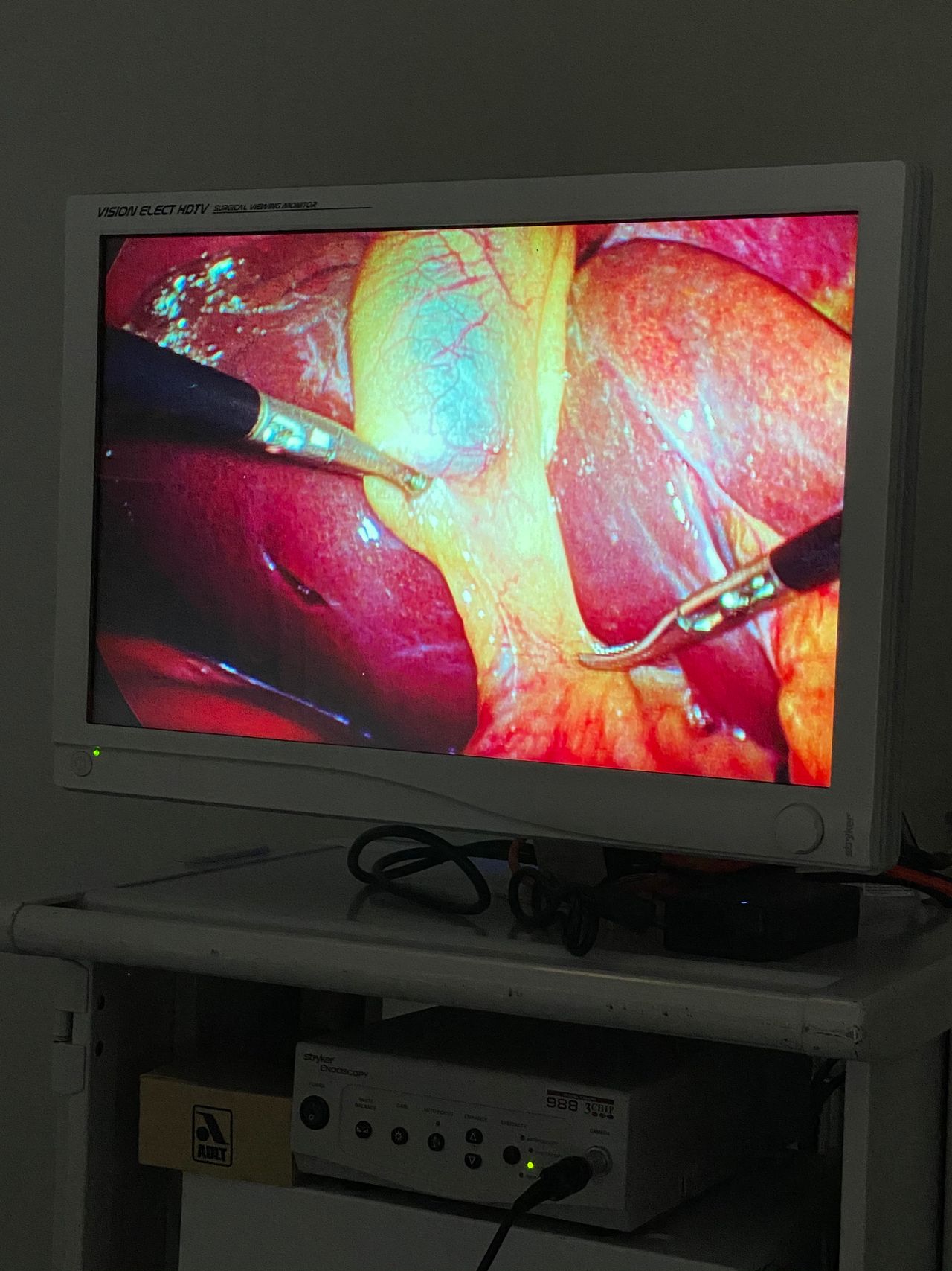 Ismael Gonzalez Torres-6