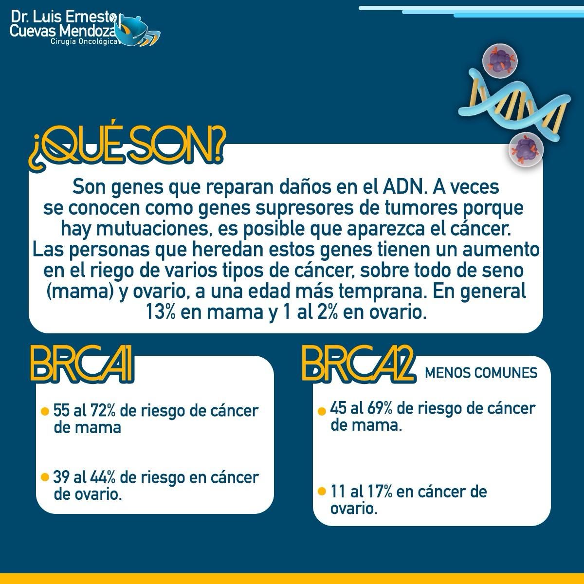 Luis Ernesto Cuevas Mendoza-306