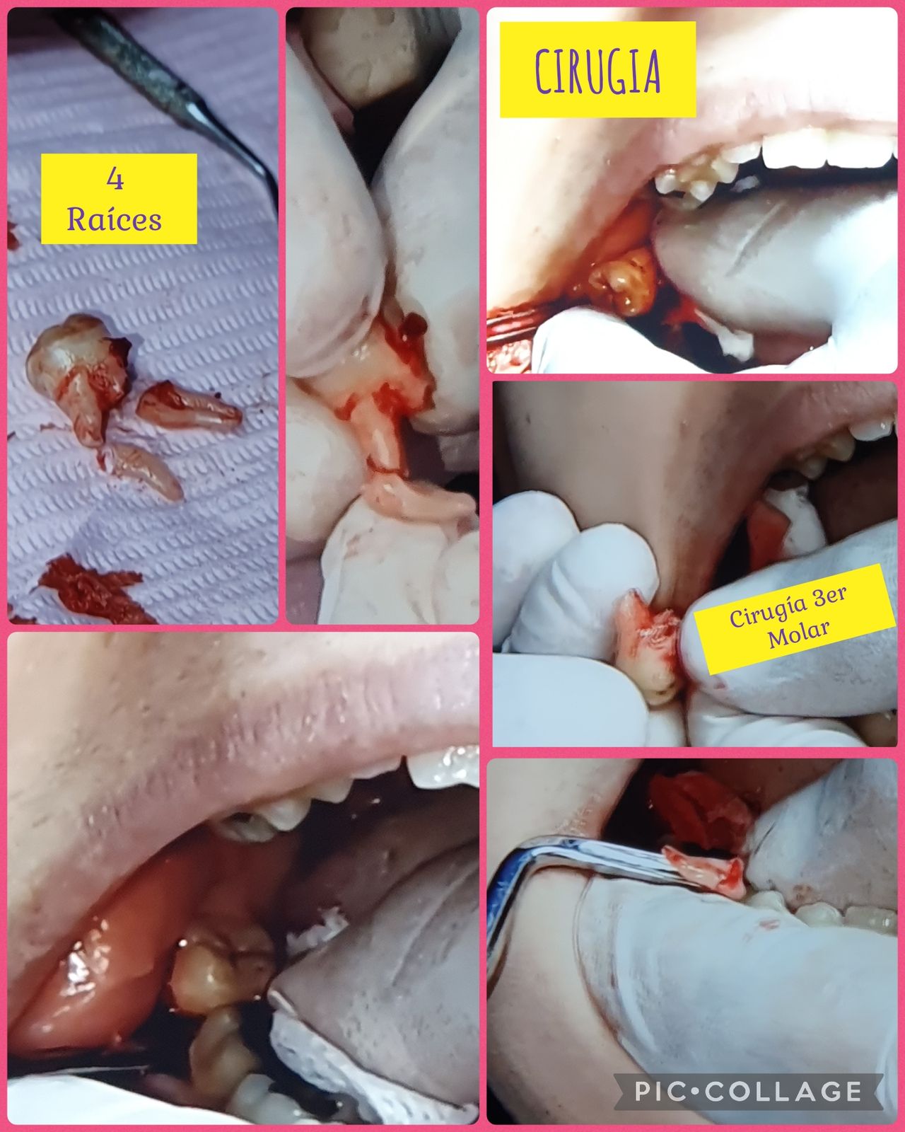 Fabiola Arcos Huesca-74