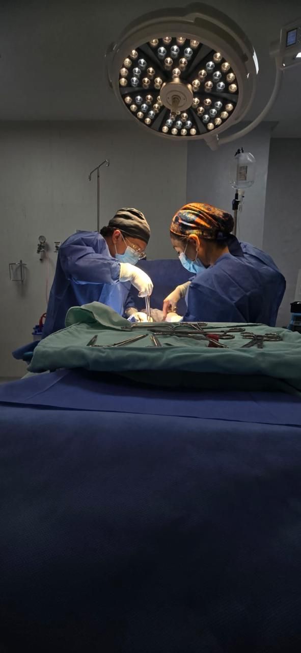 Sandra Faviola Dávila Molina-40