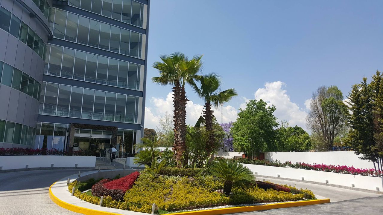 Luis Daniel Carrillo Córdova-13