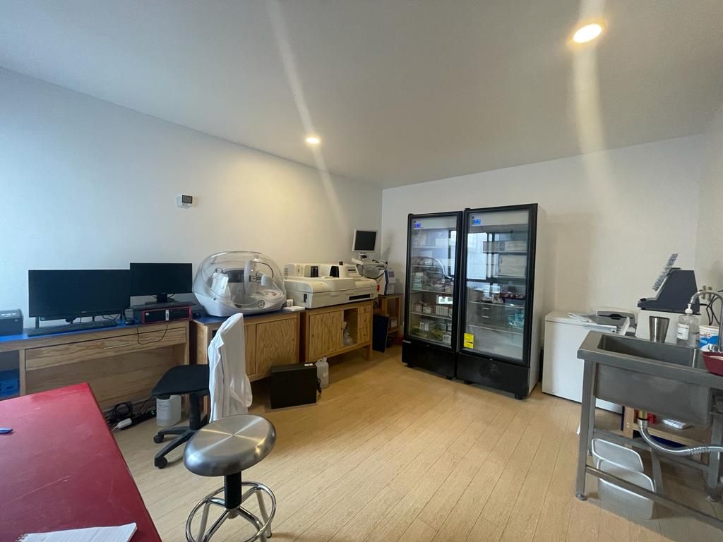 Alma Pérez Galván-3