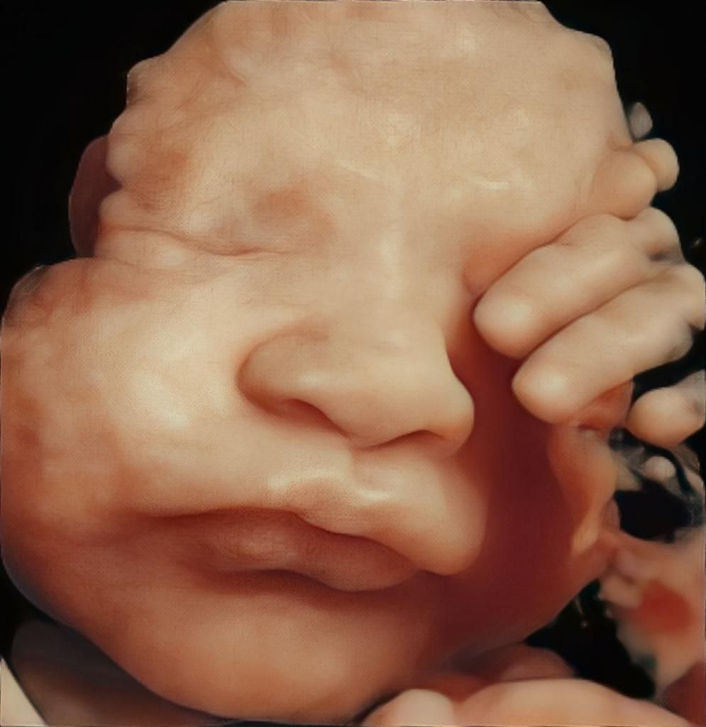 Johnatan Torres Torres-1