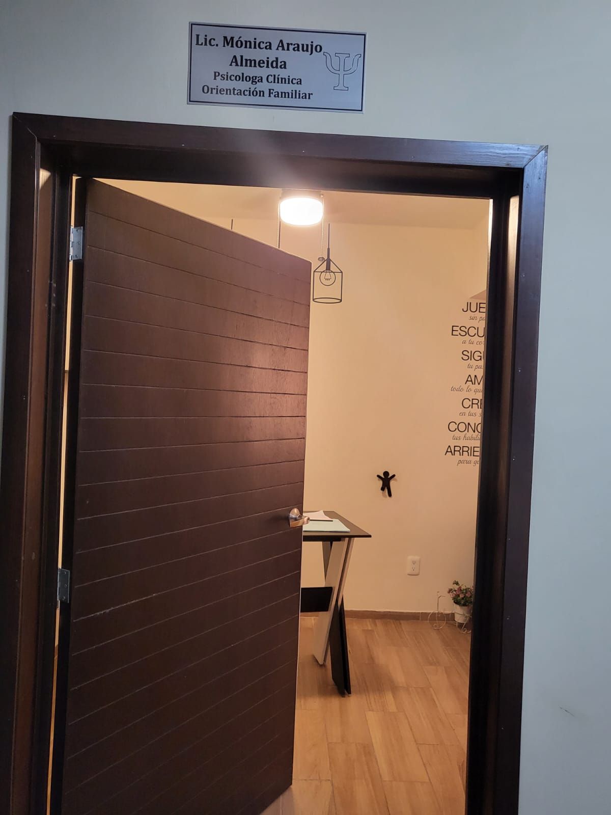 Monica Araujo Almeida-1